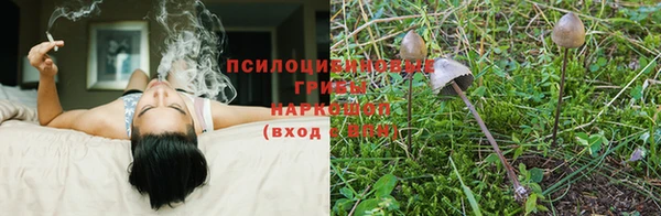 кокаин перу Белокуриха