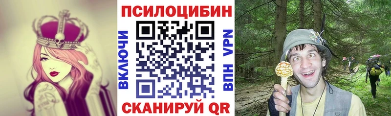 Псилоцибиновые грибы Psilocybine cubensis  Выкса 